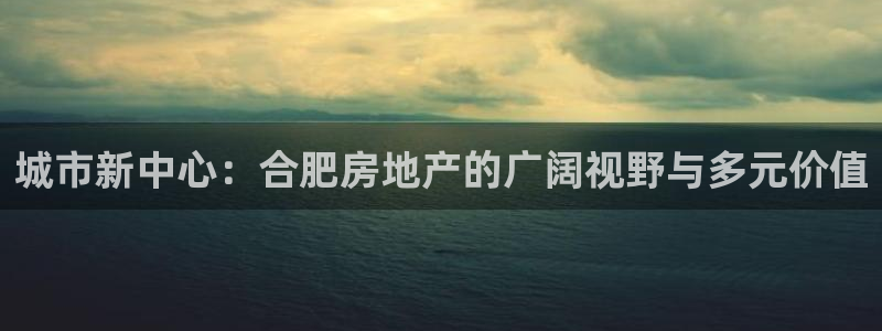 风暴官方娱乐：城市新中心：合肥房地产的广阔视野与多元价值
