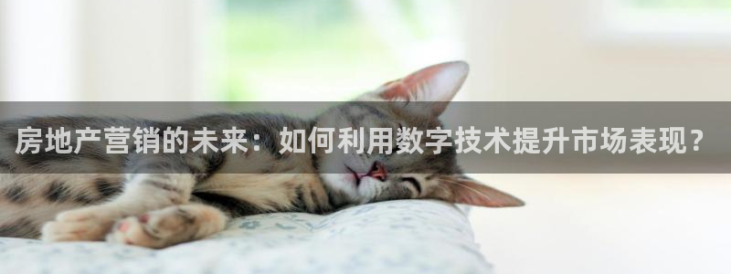 风暴娱乐求333OOa：房地产营销的未来：如何利用数字技术提