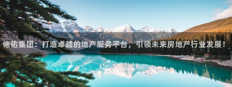 风暴眼娱乐：德佑集团：打造卓越的地产服务平台，引领未来房地产