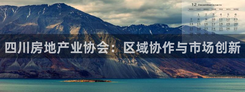 风暴娱乐 平台首页：四川房地产业协会：区域协作与市场创新