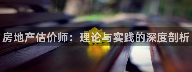 风暴娱乐待遇：房地产估价师：理论与实践的深度剖析