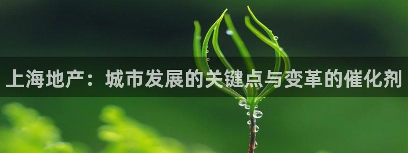 风暴娱乐左5指尖：上海地产：城市发展的关键点与变革的催化剂