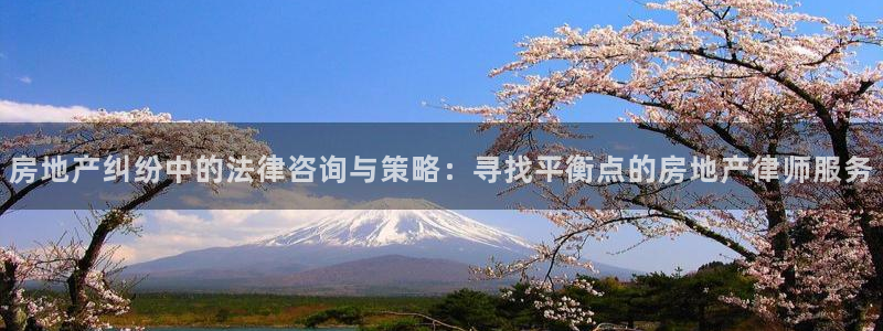 风暴娱乐注册网址：房地产纠纷中的法律咨询与策略：寻找平衡点的
