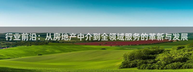 风暴娱乐园：行业前沿：从房地产中介到全领域服务的革新与发展