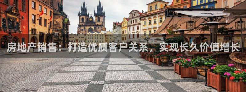 风暴娱乐套路：房地产销售：打造优质客户关系，实现长久价值增长