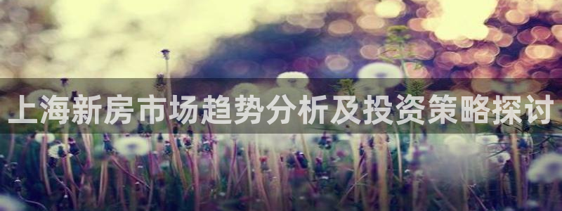 风暴娱乐这个平台靠谱：上海新房市场趋势分析及投资策略探讨