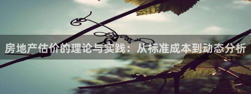 风暴娱乐老板：房地产估价的理论与实践：从标准成本到动态分析