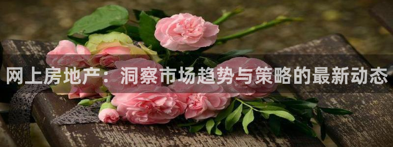 风暴娱乐去人l8888：网上房地产：洞察市场趋势与策略的最新