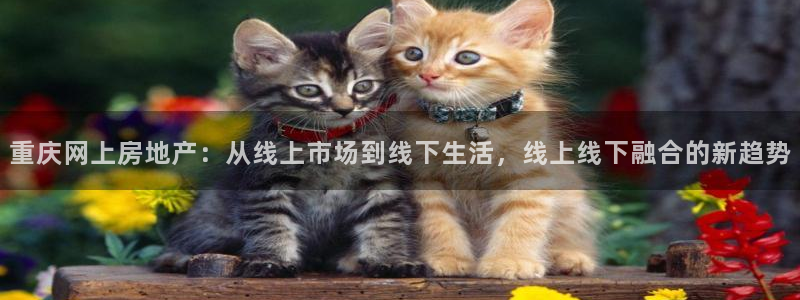 风暴娱乐去人l8888：重庆网上房地产：从线上市场到线下生活
