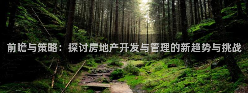风暴娱乐下载地址：前瞻与策略：探讨房地产开发与管理的新趋势与