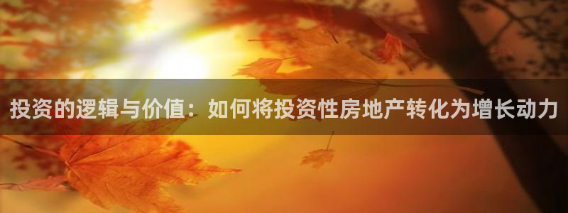 娱乐风暴开头：投资的逻辑与价值：如何将投资性房地产转化为增长