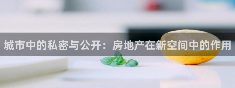 风暴娱乐点：城市中的私密与公开：房地产在新空间中的作用