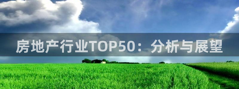 风暴娱乐求333OOc：房地产行业TOP50：分析与展望