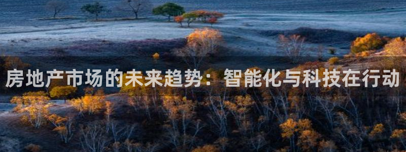 风暴娱乐字图片大全：房地产市场的未来趋势：智能化与科技在行动