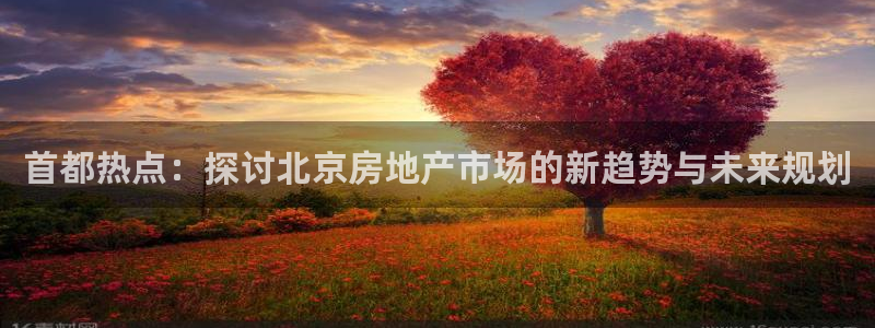 星风暴娱乐：首都热点：探讨北京房地产市场的新趋势与未来规划