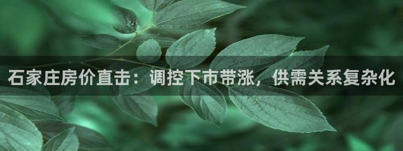 风暴娱乐：石家庄房价直击：调控下市带涨，供需关系复杂化