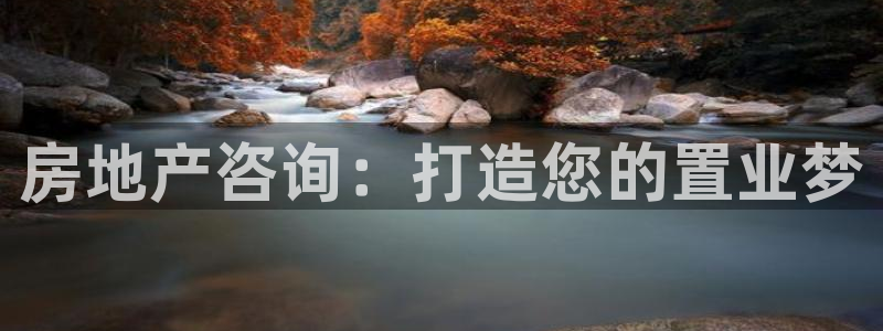 风暴娱乐主管是谁：房地产咨询：打造您的置业梦