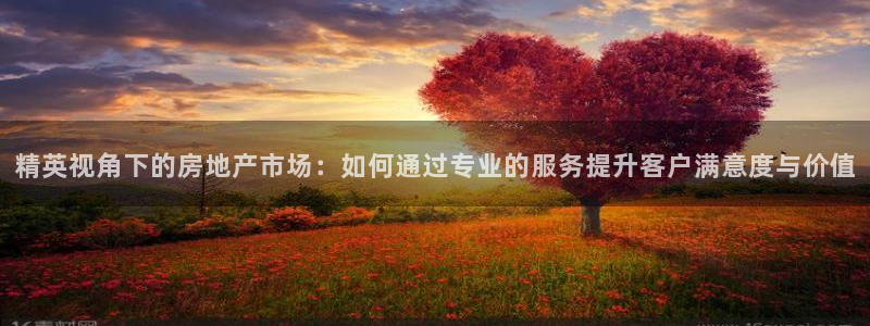 光风暴娱乐：精英视角下的房地产市场：如何通过专业的服务提升客