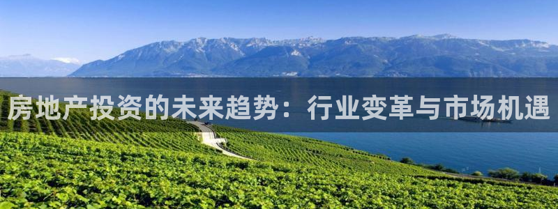 风暴娱乐有5指尖：房地产投资的未来趋势：行业变革与市场机遇