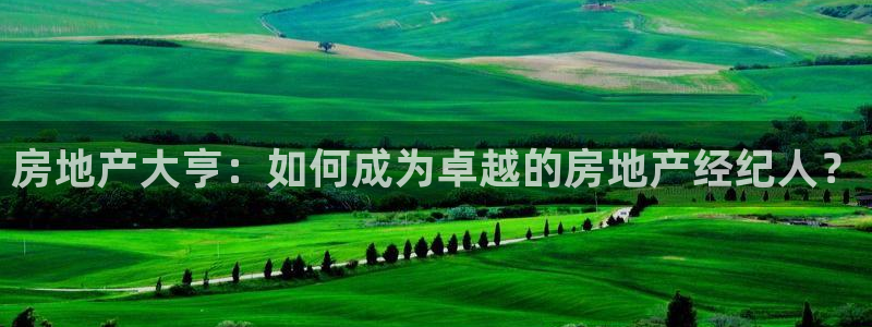 风暴娱乐右5指尖：房地产大亨：如何成为卓越的房地产经纪人？