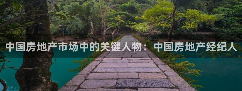 风暴大厅娱乐：中国房地产市场中的关键人物：中国房地产经纪人