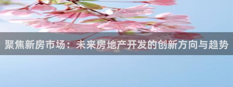 风暴娱乐开户：聚焦新房市场：未来房地产开发的创新方向与趋势
