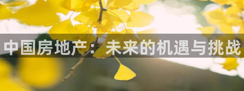 风暴娱乐号：中国房地产：未来的机遇与挑战