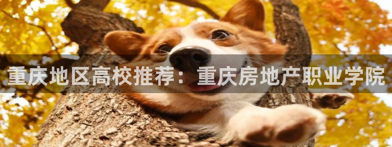风暴娱乐下载：重庆地区高校推荐：重庆房地产职业学院