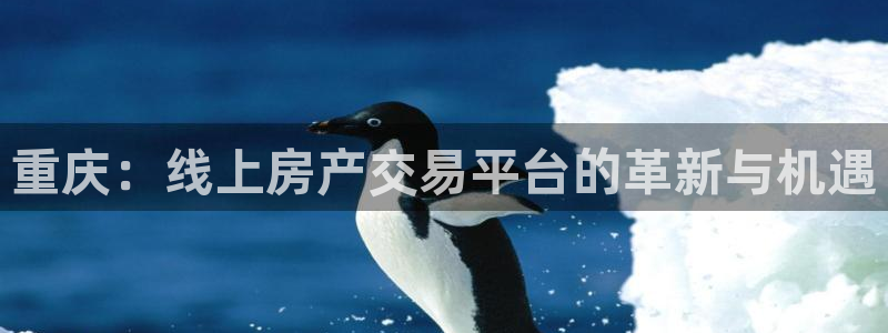 风暴娱乐主管是谁：重庆：线上房产交易平台的革新与机遇