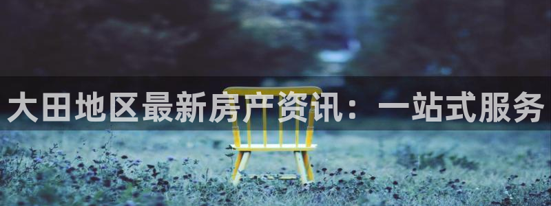风暴娱乐汇：大田地区最新房产资讯：一站式服务