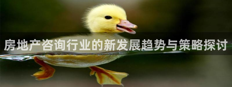 风暴娱乐自动挂：房地产咨询行业的新发展趋势与策略探讨