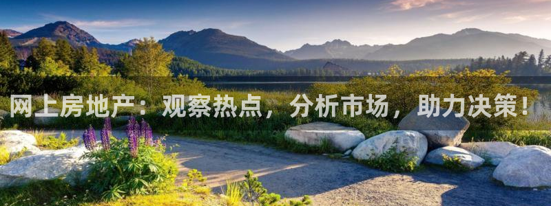 风暴娱乐套路：网上房地产：观察热点，分析市场，助力决策！