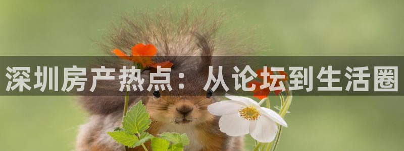 风暴娱乐棋牌：深圳房产热点：从论坛到生活圈