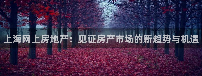 风暴娱乐记：上海网上房地产：见证房产市场的新趋势与机遇