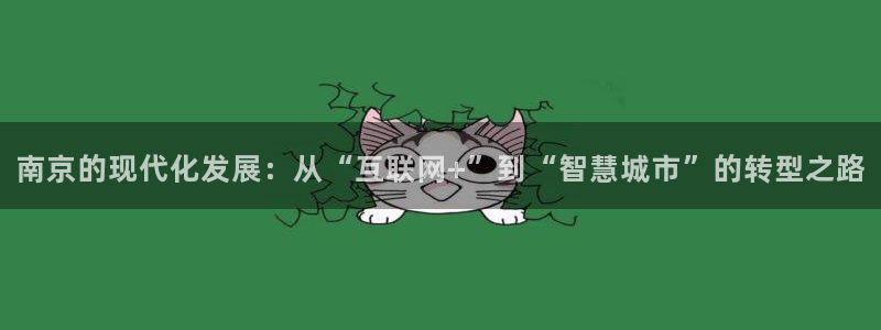 光风暴娱乐：南京的现代化发展：从“互联网+”到“智慧城市”的