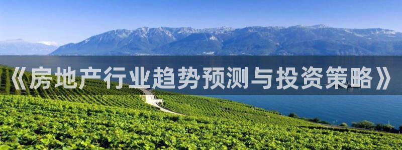 娱乐风暴港：《房地产行业趋势预测与投资策略》
