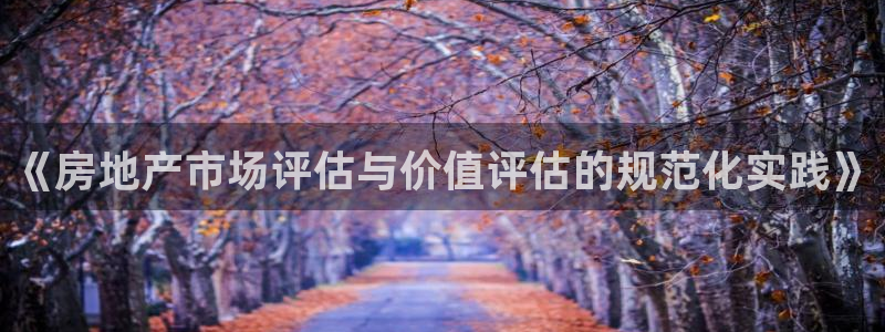 风暴娱乐老板：《房地产市场评估与价值评估的规范化实践》