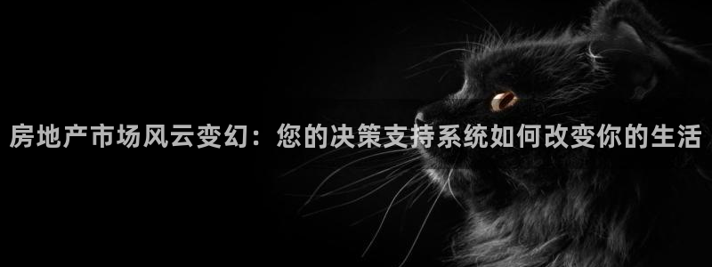 风暴娱乐派对：房地产市场风云变幻：您的决策支持系统如何改变你