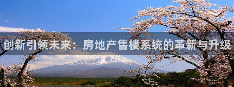 风暴娱乐提现：创新引领未来：房地产售楼系统的革新与升级