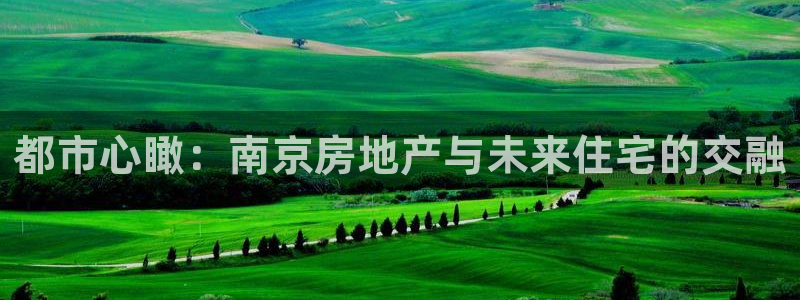 风暴娱乐测速：都市心瞰：南京房地产与未来住宅的交融