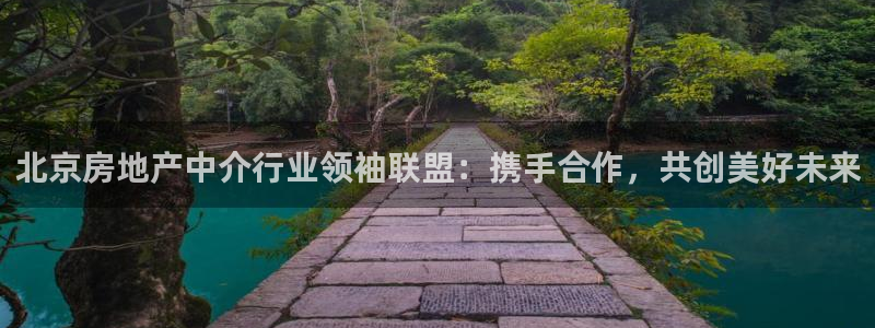 风暴娱乐求333OOf：北京房地产中介行业领袖联盟：携手合作