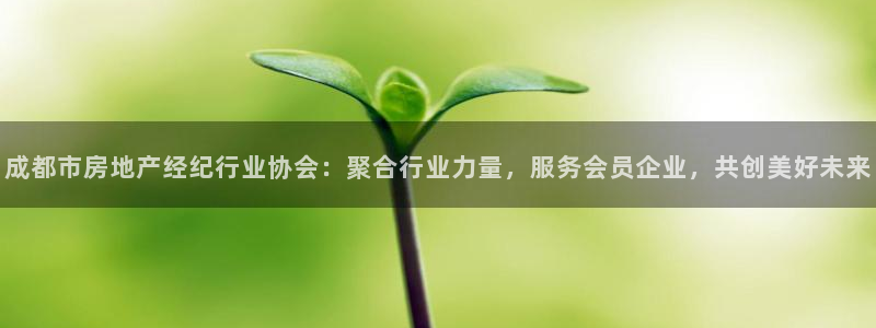 风暴新娱乐：成都市房地产经纪行业协会：聚合行业力量，服务会员