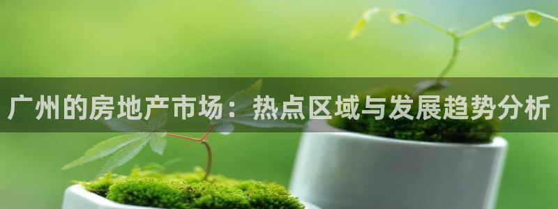 风暴官方娱乐：广州的房地产市场：热点区域与发展趋势分析