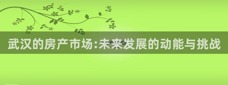 风暴娱乐待遇：武汉的房产市场:未来发展的动能与挑战