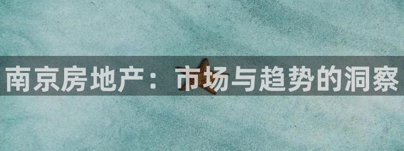 风暴娱乐套路：南京房地产：市场与趋势的洞察