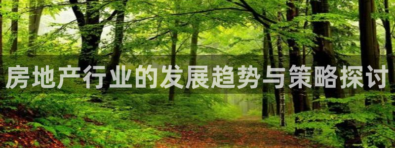 完美风暴 娱乐：房地产行业的发展趋势与策略探讨