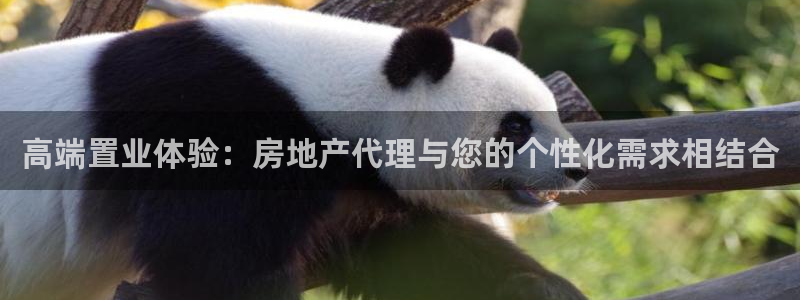 风暴官方娱乐：高端置业体验：房地产代理与您的个性化需求相结合