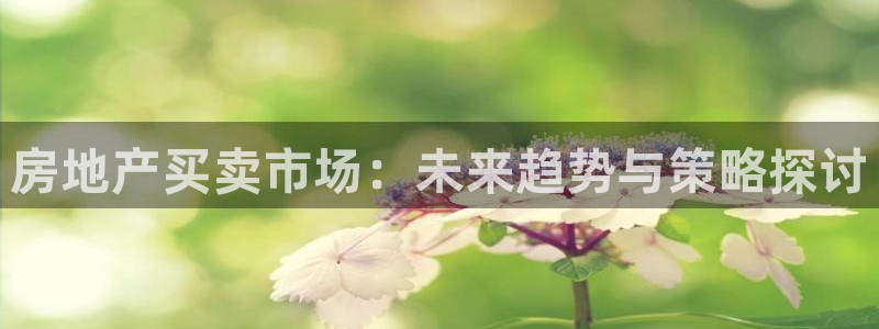 风暴娱乐下载：房地产买卖市场：未来趋势与策略探讨