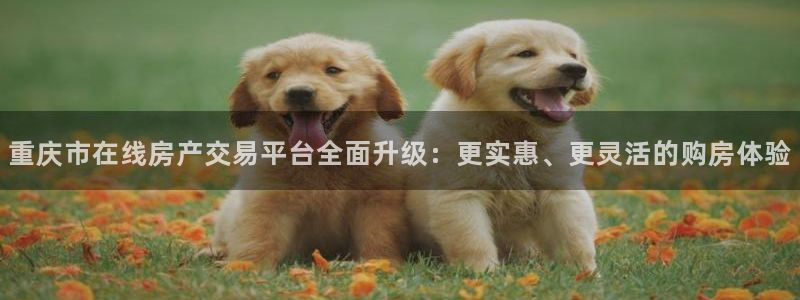 风暴娱乐代理登录：重庆市在线房产交易平台全面升级：更实惠、更