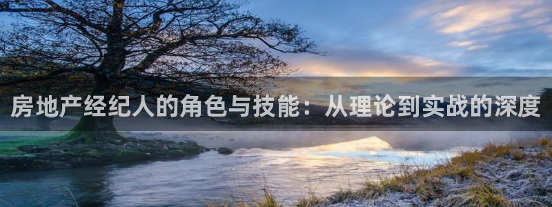 风暴娱乐左5指尖：房地产经纪人的角色与技能：从理论到实战的深